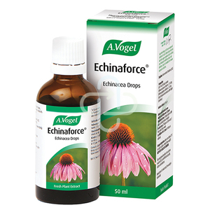 A VOGEL ECHINAFORCE DROPS  50ML A VOGEL