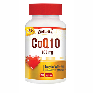 WELLVITA CO ENZYME Q10 100MG 30 SOFTGELS