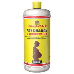 UVUKAHLALE PREGNANCY & CONCEPTION 500ML