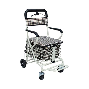 TROLLEY WALKING/SHOPPING