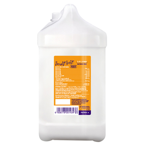 MULTIVIT SYRUP 2500ML BRUNEL