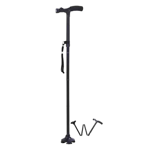WALKING STICK FOLDABLE + LIGHT SWISS M 1